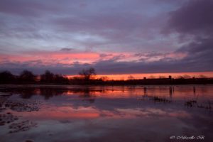 mireille bleriot lac