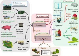 digestat grand procedure methanisation